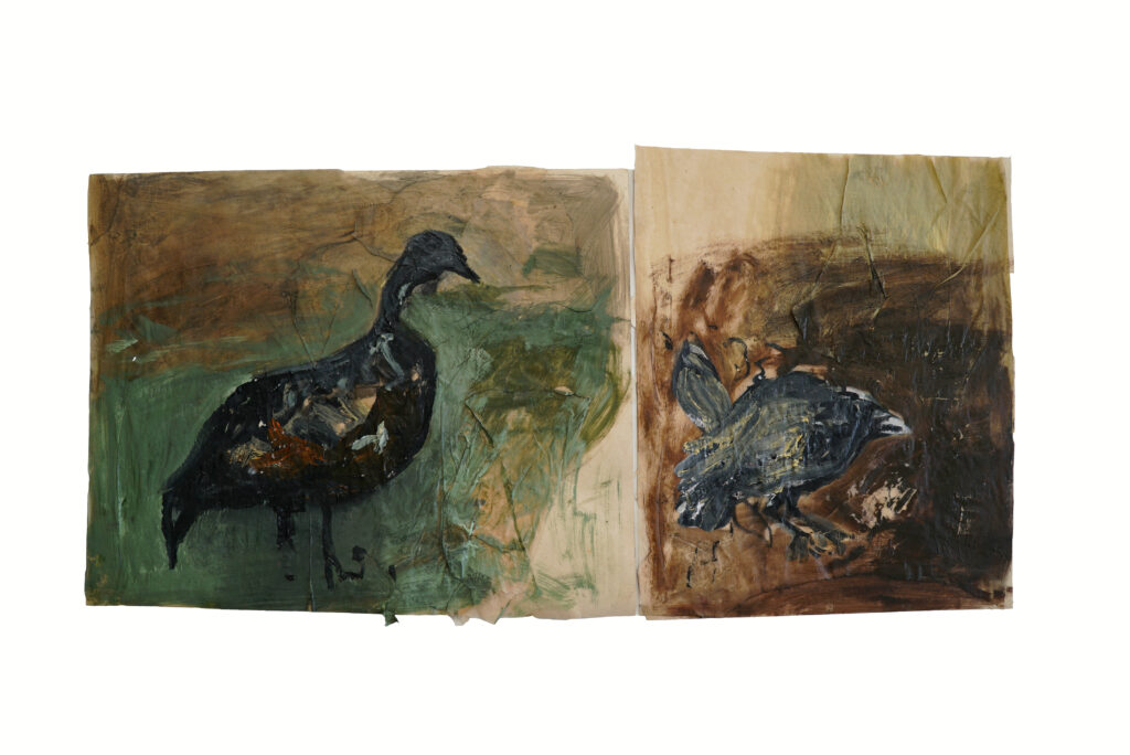 Untitled | 50x100 Cm | Collage and oil color on paper | 2022