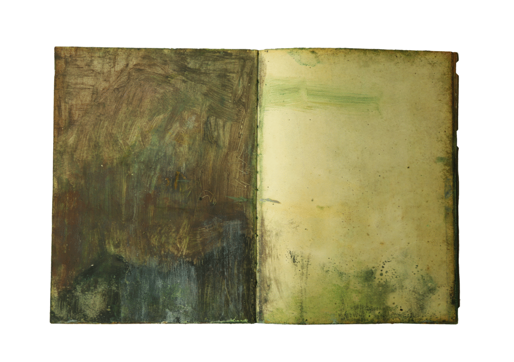 0Nature Book 2019