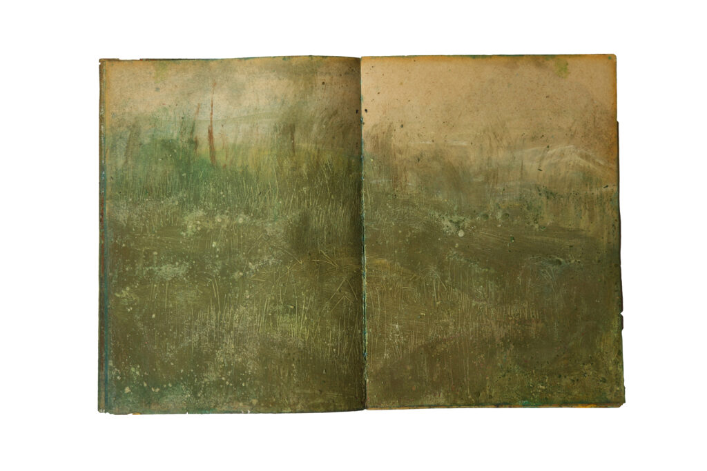 1 (16)Nature Book 2019