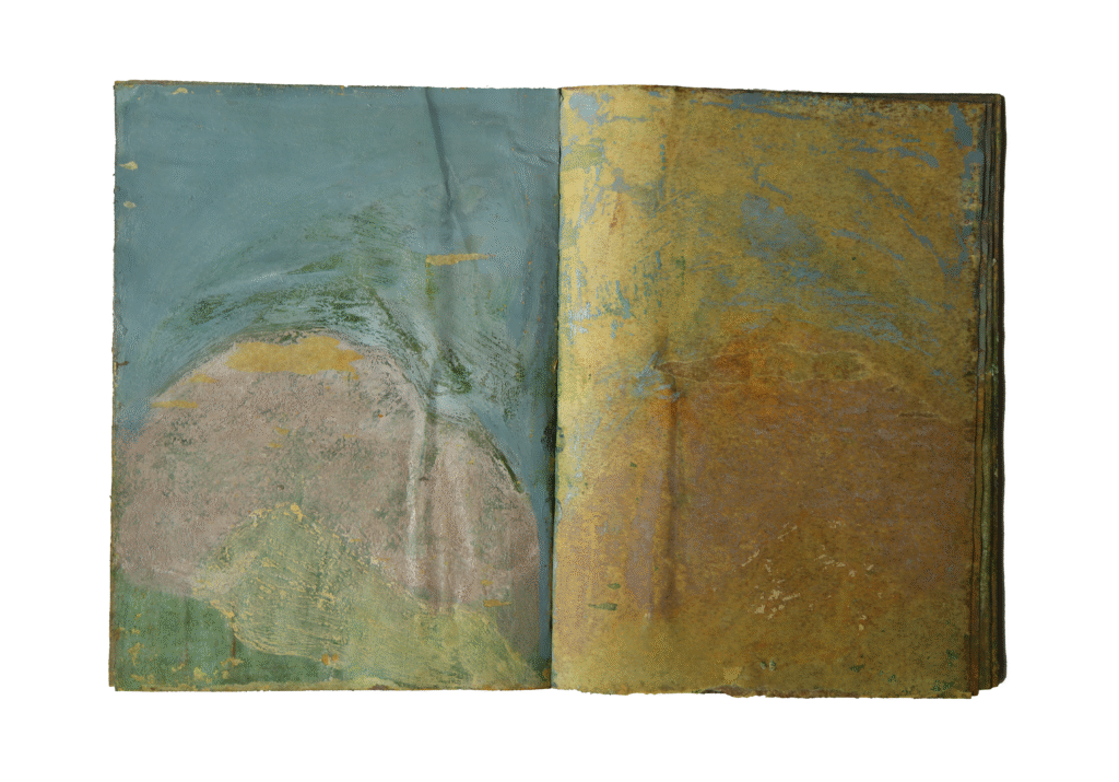 1 (2)Nature Book 2019