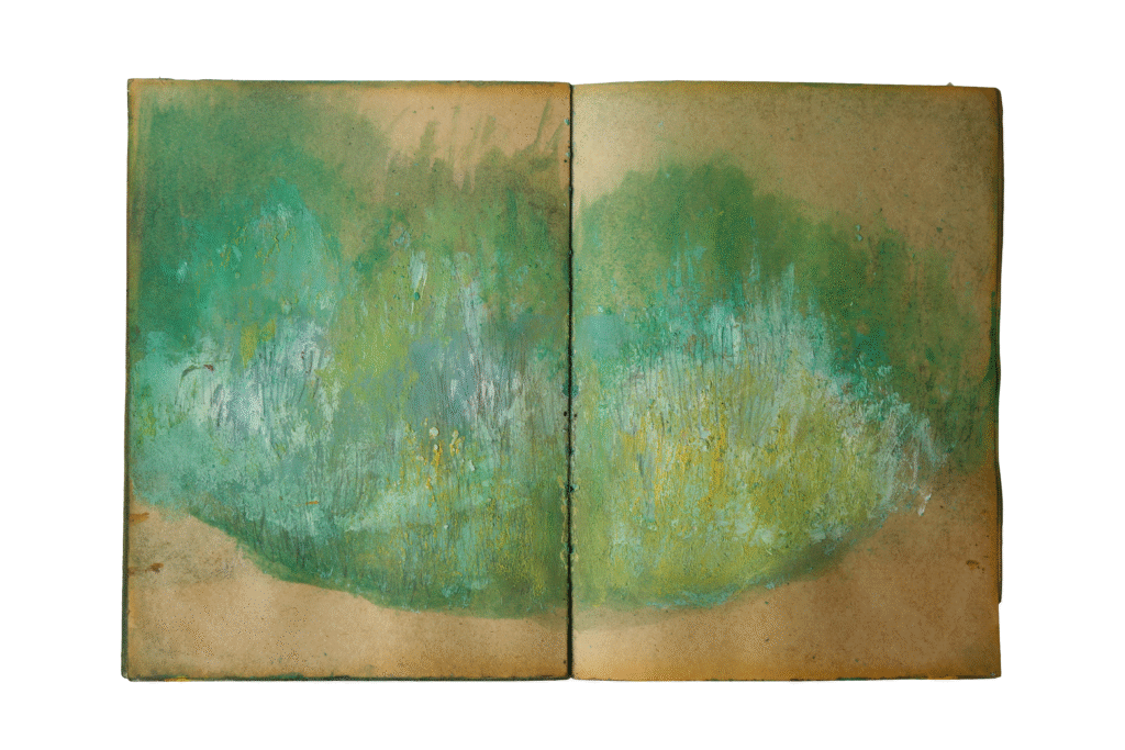 2E7A6683Nature Book 2019