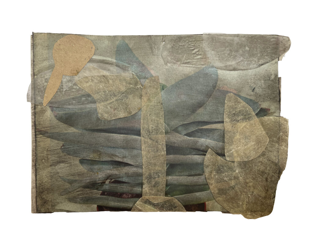 Untitled | 11x15 cm | Collage on photo | 2021